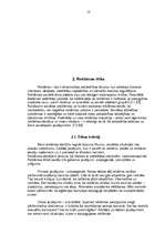 Referāts 'Reklāmas ētika un psiholoģija', 13.