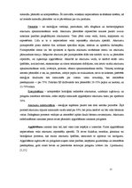 Referāts 'Sadzīves atkritumu šķirošana un otrreizējās pārstrādes iespējas Latvijā', 11.