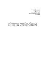 Konspekts 'Saule- siltuma avots', 1.