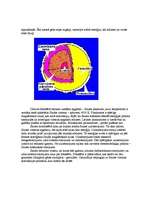 Konspekts 'Saule- siltuma avots', 3.