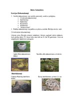 Konspekts 'Baltu Senkultūra', 1.