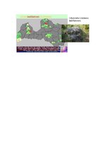 Konspekts 'Baltu Senkultūra', 2.