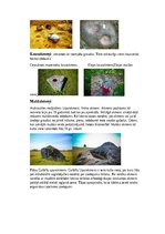 Konspekts 'Baltu Senkultūra', 4.