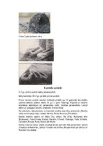 Konspekts 'Baltu Senkultūra', 6.