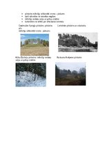 Konspekts 'Baltu Senkultūra', 8.