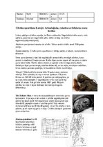 Konspekts 'Baltu Senkultūra', 11.