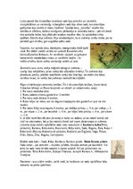 Konspekts 'Baltu Senkultūra', 24.