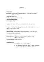 Referāts 'Studiju darbs: Didaktisko rotaļu pielietojums 2 – 3 gadu vecu bērnu valodas attī', 2.