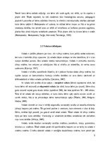 Referāts 'Studiju darbs: Didaktisko rotaļu pielietojums 2 – 3 gadu vecu bērnu valodas attī', 9.