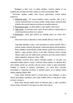 Referāts 'Studiju darbs: Didaktisko rotaļu pielietojums 2 – 3 gadu vecu bērnu valodas attī', 16.