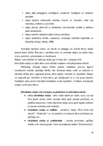 Referāts 'Studiju darbs: Didaktisko rotaļu pielietojums 2 – 3 gadu vecu bērnu valodas attī', 20.