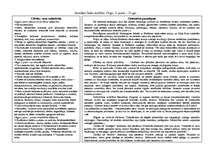 Konspekts 'Pasaules kultūra', 19.