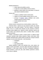 Referāts 'Mobilo pakalpojumu sniedzēs uzņēmums "Bite"', 4.