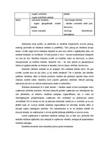 Referāts 'Mobilo pakalpojumu sniedzēs uzņēmums "Bite"', 6.