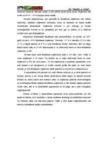 Biznesa plāns 'Biznesa plāns SIA “Šokolāde & Cukīnī”', 4.