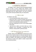 Biznesa plāns 'Biznesa plāns SIA “Šokolāde & Cukīnī”', 5.