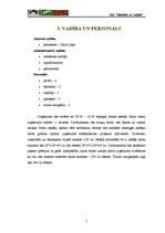 Biznesa plāns 'Biznesa plāns SIA “Šokolāde & Cukīnī”', 7.