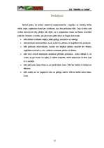 Biznesa plāns 'Biznesa plāns SIA “Šokolāde & Cukīnī”', 12.