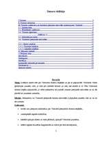 Referāts 'Tūrisma industrijas piedāvātās iespējas Valmierā un to izmantošanas popularitāte', 2.