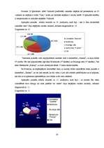 Referāts 'Tūrisma industrijas piedāvātās iespējas Valmierā un to izmantošanas popularitāte', 24.