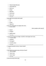 Referāts 'Tūrisma industrijas piedāvātās iespējas Valmierā un to izmantošanas popularitāte', 36.