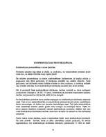 Referāts 'Pratināšanas galvenie aspekti un paņēmieni', 26.