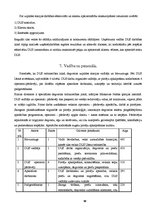 Biznesa plāns 'Biznesa plāns', 12.