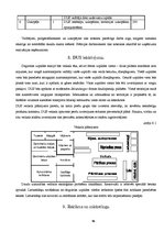 Biznesa plāns 'Biznesa plāns', 13.