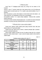 Biznesa plāns 'Biznesa plāns', 16.