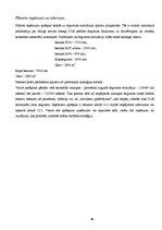 Biznesa plāns 'Biznesa plāns', 17.