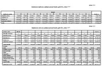 Biznesa plāns 'Biznesa plāns', 18.