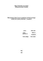 Biznesa plāns 'Mārketinga plāns jauna produkta ieviešanai tirgū', 1.