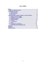 Biznesa plāns 'Mārketinga plāns jauna produkta ieviešanai tirgū', 2.