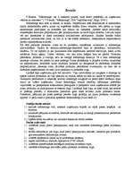 Biznesa plāns 'Mārketinga plāns jauna produkta ieviešanai tirgū', 3.