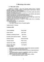 Biznesa plāns 'Mārketinga plāns jauna produkta ieviešanai tirgū', 6.