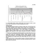 Biznesa plāns 'Mārketinga plāns jauna produkta ieviešanai tirgū', 8.