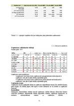 Biznesa plāns 'Mārketinga plāns jauna produkta ieviešanai tirgū', 10.