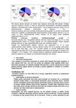 Biznesa plāns 'Mārketinga plāns jauna produkta ieviešanai tirgū', 15.