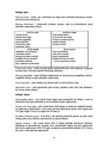 Biznesa plāns 'Mārketinga plāns jauna produkta ieviešanai tirgū', 19.