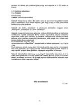 Biznesa plāns 'Mārketinga plāns jauna produkta ieviešanai tirgū', 22.