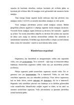 Referāts 'Ekoloģija', 5.