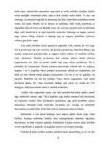 Referāts 'Ekoloģija', 10.