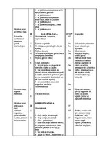 Paraugs 'Sporta stundas konspekts akrobātikā 10.klasei', 3.