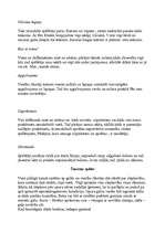 Konspekts 'Viesību spēles', 2.