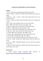 Diplomdarbs 'Rentabilitātes novērtējums uzņēmumā', 46.