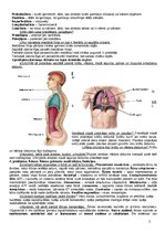 Konspekts 'Anatomija, fizioloģija', 2.