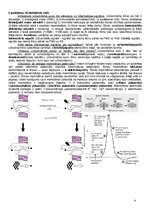 Konspekts 'Anatomija, fizioloģija', 4.