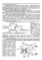 Konspekts 'Anatomija, fizioloģija', 9.