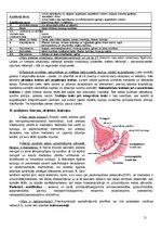 Konspekts 'Anatomija, fizioloģija', 11.