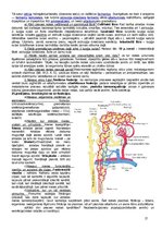 Konspekts 'Anatomija, fizioloģija', 17.